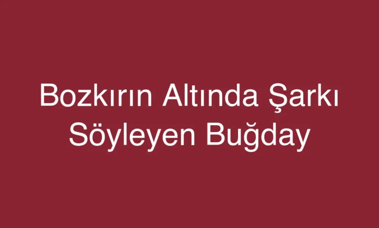 Bozkırın Altında Şarkı Söyleyen Buğday