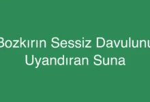 Bozkırın Sessiz Davulunu Uyandıran Suna