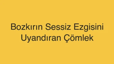 Bozkırın Sessiz Ezgisini Uyandıran Çömlek
