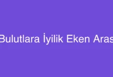 Bulutlara İyilik Eken Aras