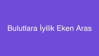 Bulutlara İyilik Eken Aras