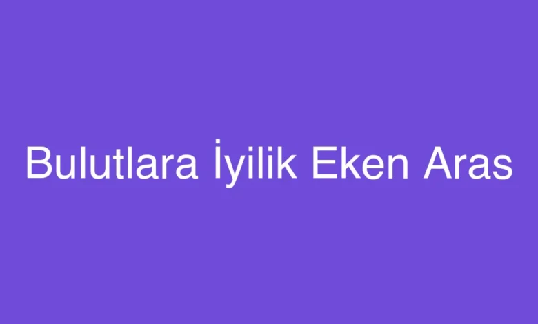Bulutlara İyilik Eken Aras
