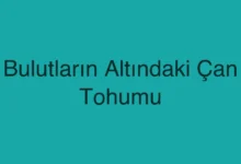 Bulutların Altındaki Çan Tohumu