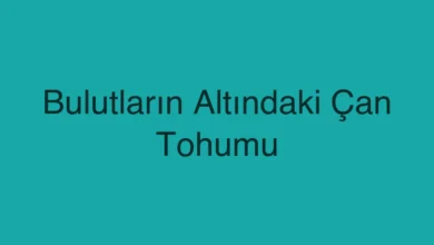 Bulutların Altındaki Çan Tohumu