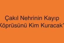 Çakıl Nehrinin Kayıp Köprüsünü Kim Kuracak?