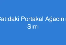 Çatıdaki Portakal Ağacının Sırrı