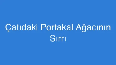 Çatıdaki Portakal Ağacının Sırrı