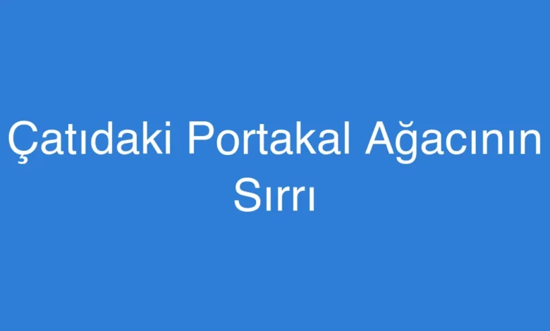Çatıdaki Portakal Ağacının Sırrı