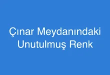 Çınar Meydanındaki Unutulmuş Renk