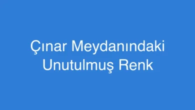 Çınar Meydanındaki Unutulmuş Renk