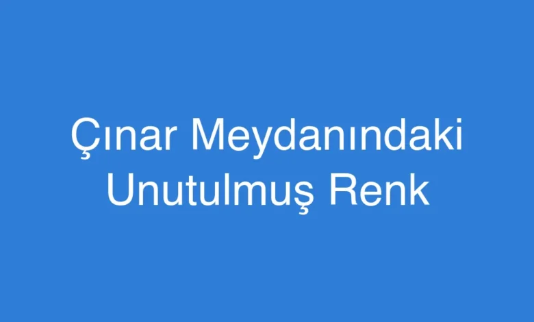 Çınar Meydanındaki Unutulmuş Renk