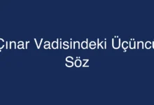 Çınar Vadisindeki Üçüncü Söz