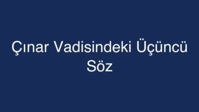 Çınar Vadisindeki Üçüncü Söz