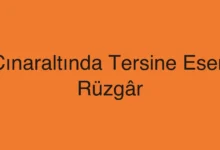 Çınaraltında Tersine Esen Rüzgâr