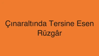 Çınaraltında Tersine Esen Rüzgâr
