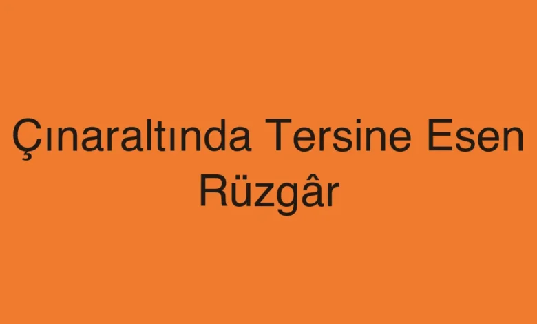 Çınaraltında Tersine Esen Rüzgâr