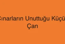 Çınarların Unuttuğu Küçük Çan