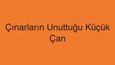 Çınarların Unuttuğu Küçük Çan