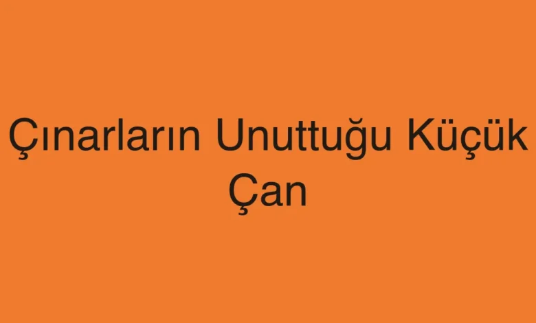 Çınarların Unuttuğu Küçük Çan