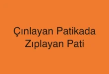 Çınlayan Patikada Zıplayan Pati