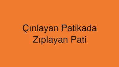 Çınlayan Patikada Zıplayan Pati