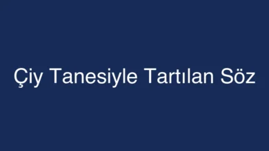 Çiy Tanesiyle Tartılan Söz