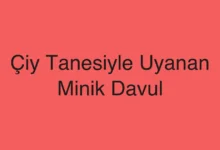 Çiy Tanesiyle Uyanan Minik Davul