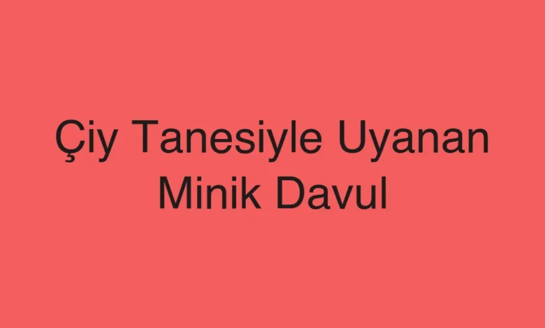 Çiy Tanesiyle Uyanan Minik Davul