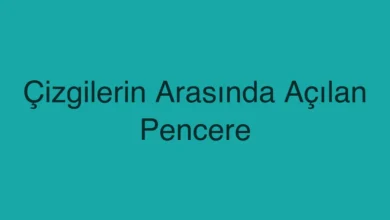 Çizgilerin Arasında Açılan Pencere