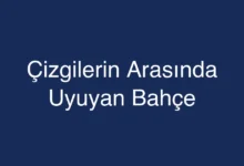 Çizgilerin Arasında Uyuyan Bahçe