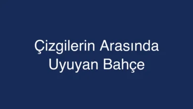 Çizgilerin Arasında Uyuyan Bahçe