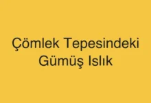 Çömlek Tepesindeki Gümüş Islık