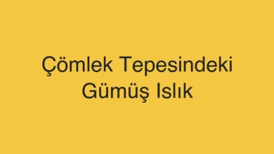 Çömlek Tepesindeki Gümüş Islık