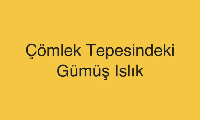 Çömlek Tepesindeki Gümüş Islık