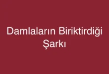 Damlaların Biriktirdiği Şarkı