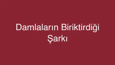 Damlaların Biriktirdiği Şarkı