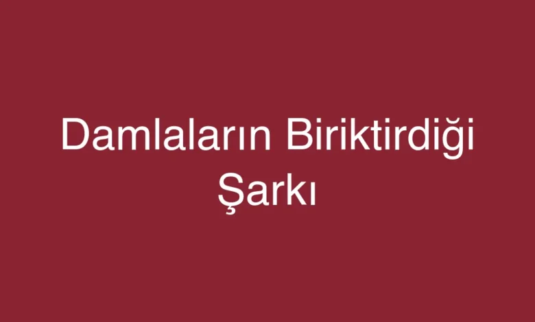 Damlaların Biriktirdiği Şarkı
