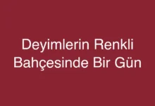 Deyimlerin Renkli Bahçesinde Bir Gün