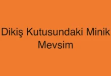 Dikiş Kutusundaki Minik Mevsim