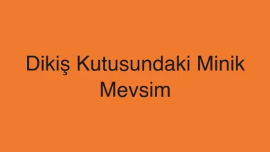 Dikiş Kutusundaki Minik Mevsim