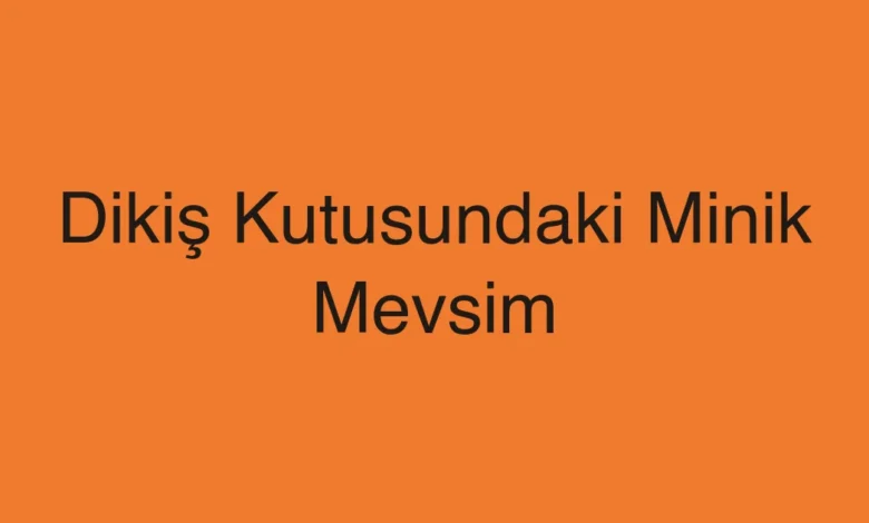 Dikiş Kutusundaki Minik Mevsim