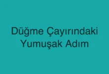 Düğme Çayırındaki Yumuşak Adım