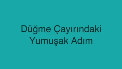 Düğme Çayırındaki Yumuşak Adım