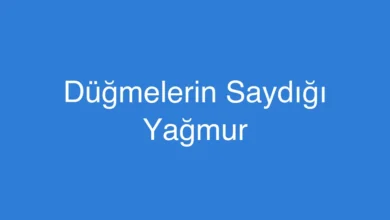 Düğmelerin Saydığı Yağmur