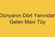 Dünyanın Dört Yanından Gelen Mavi Tüy