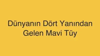 Dünyanın Dört Yanından Gelen Mavi Tüy