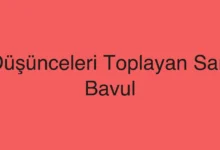 Düşünceleri Toplayan Sarı Bavul