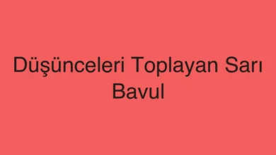 Düşünceleri Toplayan Sarı Bavul