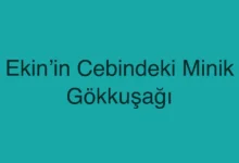 Ekin’in Cebindeki Minik Gökkuşağı