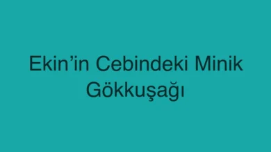 Ekin’in Cebindeki Minik Gökkuşağı